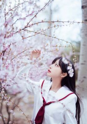 欧美性受xxxx黑人xyx性美_BD免费观看
