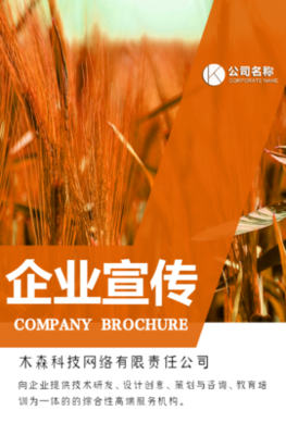 木森網絡 以城市智慧基因，驅動數字創新未來